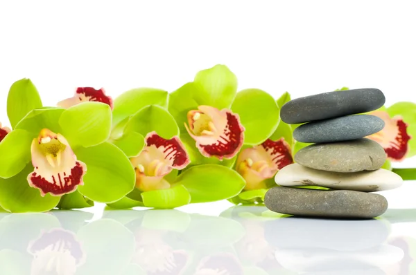 Gyönyörű zöld orchidea és spa készlet elszigetelt fehér background — Stock Fotó