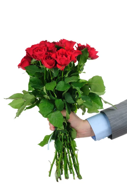 Mano de hombre sosteniendo racimo de rosas rojas aisladas sobre fondo blanco — Foto de Stock