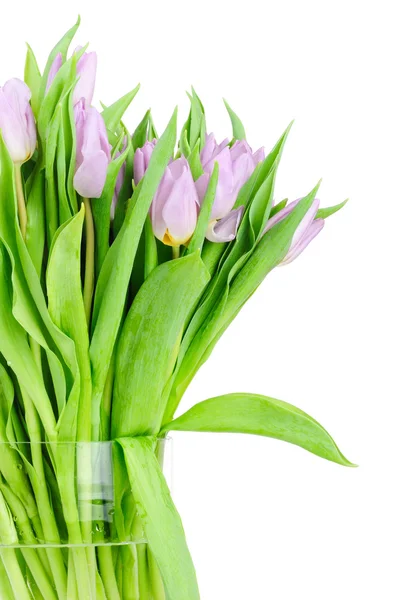 Boeket van tulpen in de vaas geïsoleerd op witte achtergrond — Stockfoto