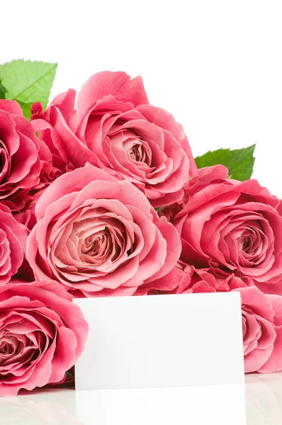 Pink roses and a card isolated on white — Stock Photo, Image