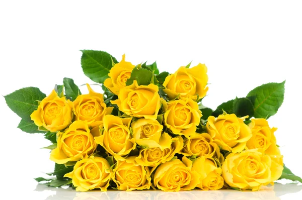 Rosa amarilla aislada sobre fondo blanco — Foto de Stock