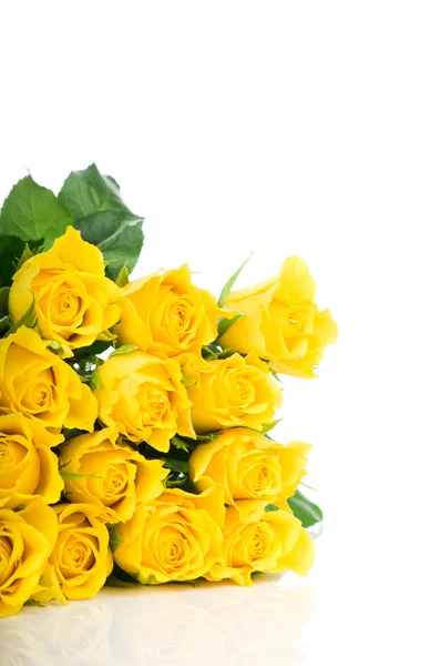 Gele roos geïsoleerd op witte achtergrond — Stockfoto