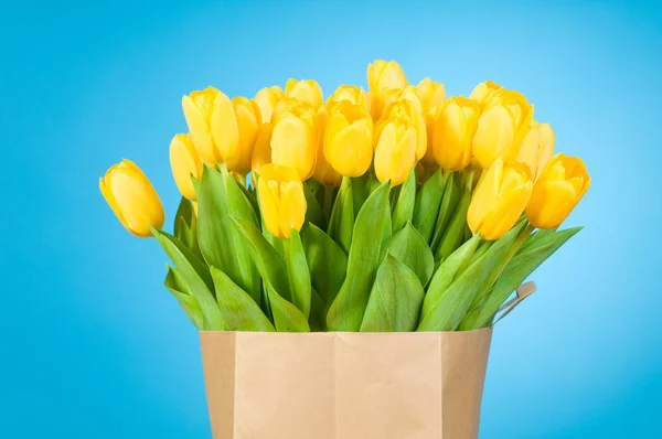 Tulipanes en bolsa de papel sobre fondo azul — Foto de Stock