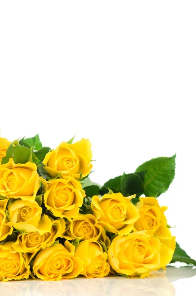 Κίτρινο τριαντάφυλλο απομονωμένο σε λευκό φόντο — Φωτογραφία Αρχείου