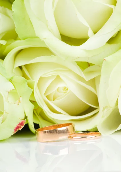 Rosas brancas e dois anéis de casamento dourados — Fotografia de Stock