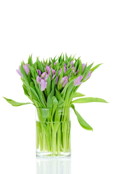 Buquê de tulipas no vaso isolado no fundo branco — Fotografia de Stock