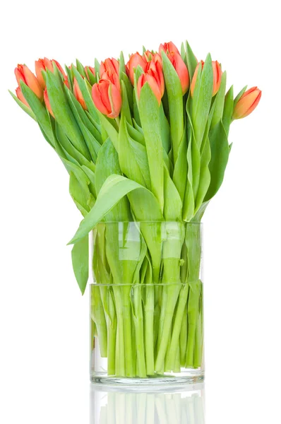 Tulpen in de vaas tegen witte achtergrond — Stockfoto