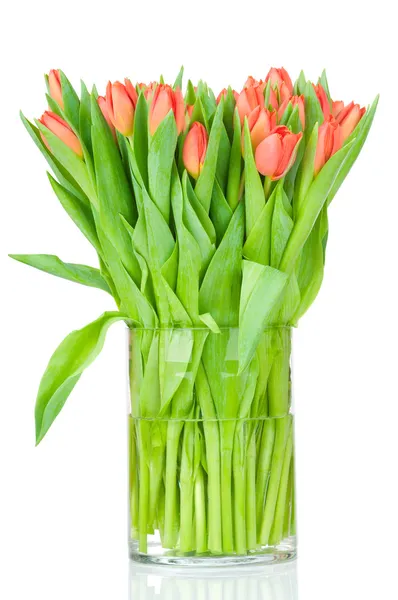 Tulpen in der Vase vor weißem Hintergrund — Stockfoto