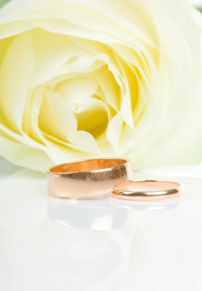 Rosas brancas e dois anéis de casamento dourados — Fotografia de Stock