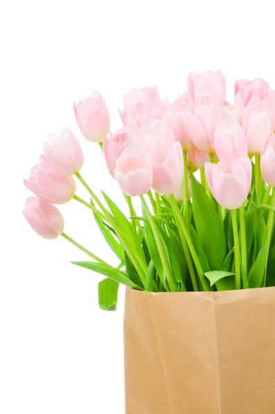 Tulpen in papieren zak tegen witte achtergrond — Stockfoto