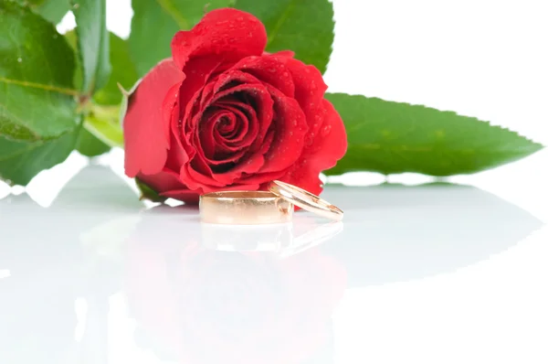 赤いバラと黄金の 2 つの結婚指輪 — ストック写真