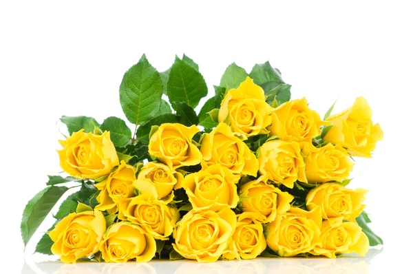 Yellow rose isolated on white background — Stock Photo, Image