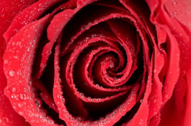 jonge mooie roodharige vrouw voor de oude deur