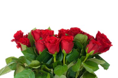 Beyaz arka planda izole güller