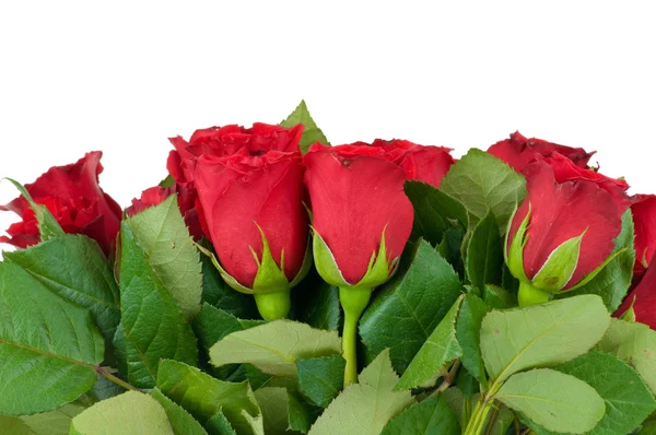 Τριαντάφυλλα μπουκέτο απομονώνονται σε λευκό φόντο — Φωτογραφία Αρχείου