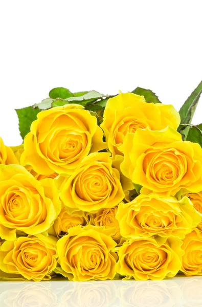 Желтая роза изолированы на белом фоне — стоковое фото