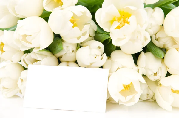 Bukett tulpaner med gratulationskort isolerad på vit bakgrund — Stockfoto