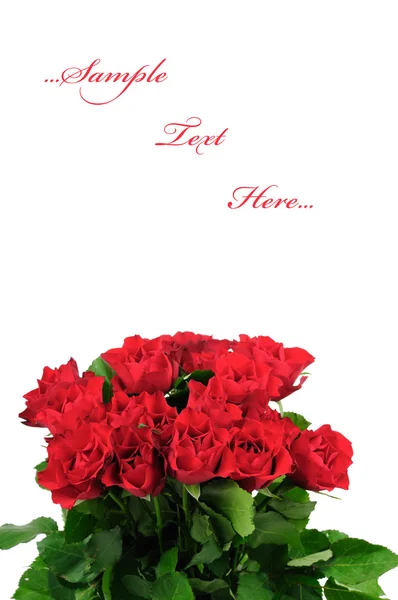 Bukiet róż izolowane na białym tle — Zdjęcie stockowe