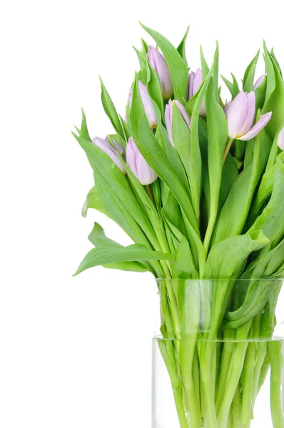 孤立在白色背景上的花瓶里的郁金香花束 — 图库照片