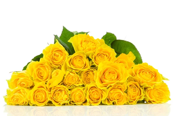 Gelbe Rose isoliert auf weißem Hintergrund — Stockfoto