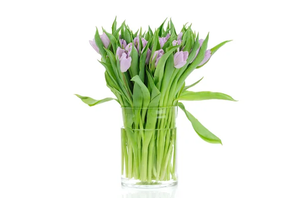 Bouquet de tulipes dans le vase isolé sur fond blanc — Photo