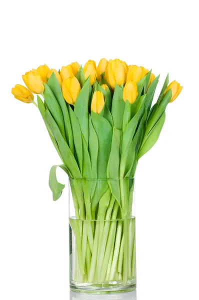 Tulips in the vase against white background — Stock Photo, Image