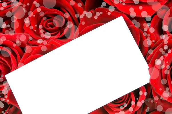 Mazzo di rose rosse un biglietto di auguri isolato su sfondo bianco — Foto Stock