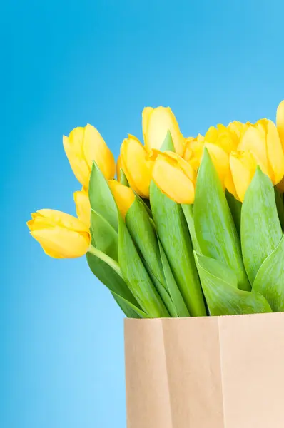 Tulpen in Papiertüte vor blauem Hintergrund — Stockfoto