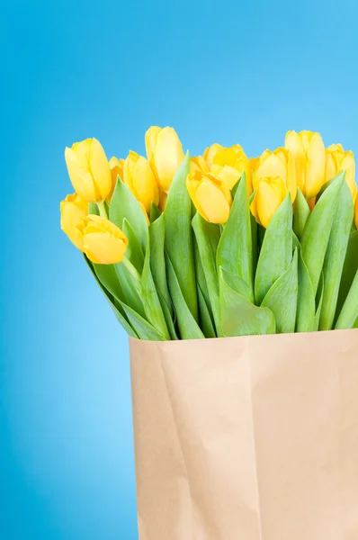 Tulipanes en bolsa de papel sobre fondo azul — Foto de Stock