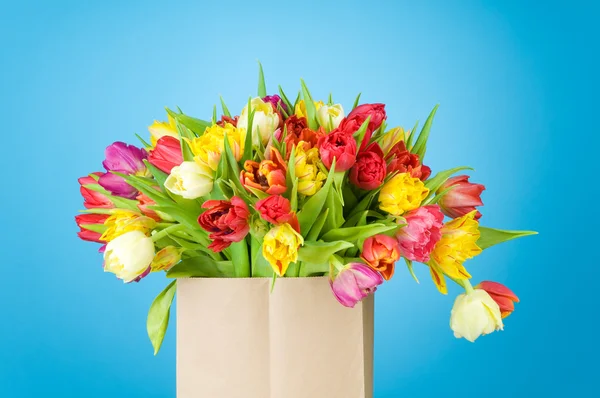 Tulipanes en bolsa de papel sobre fondo azul —  Fotos de Stock