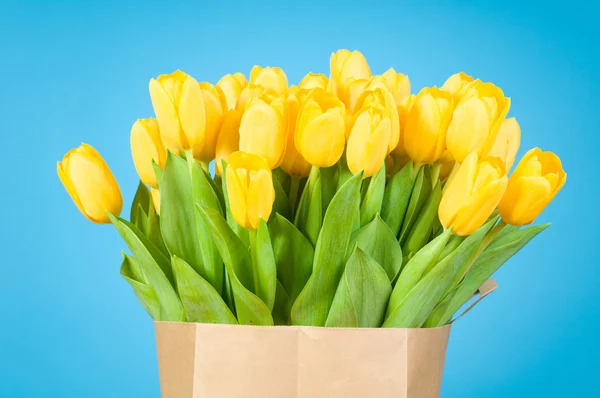 Tulpen in papieren zak tegen blauwe achtergrond — Stockfoto