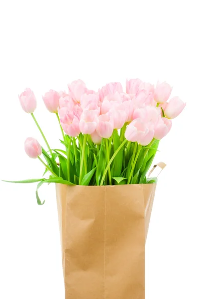 Tulpen in Papiertüte vor weißem Hintergrund — Stockfoto