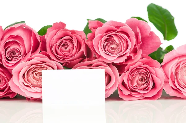 ピンクのバラと白で隔離されるカード — ストック写真