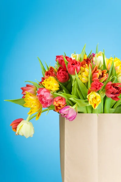 Tulpen in Papiertüte auf blauem Hintergrund — Stockfoto