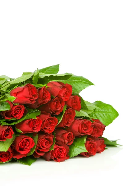 Růže kytice izoluje na bílém pozadí — Stock fotografie