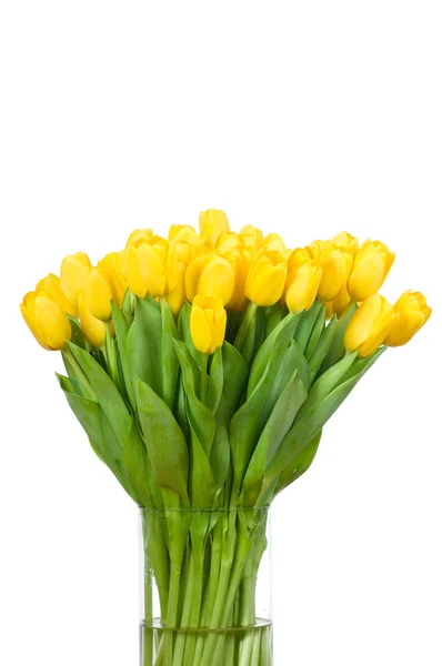 Tulpen in der Vase vor weißem Hintergrund — Stockfoto