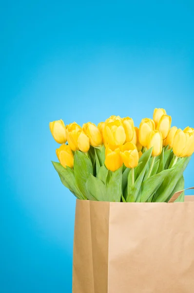Tulipanes en bolsa de papel sobre fondo azul —  Fotos de Stock
