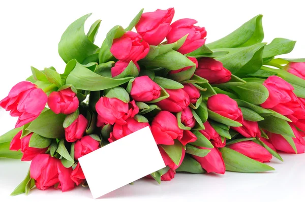Gratulationskort med rosa rosor isolerad på vit bakgrund — Stockfoto