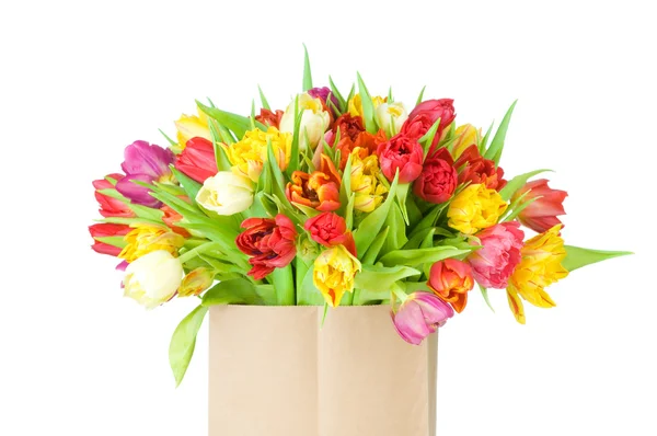 Tulips — Stock Photo, Image