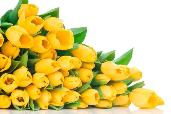 Yellow tulips — Stock Photo, Image