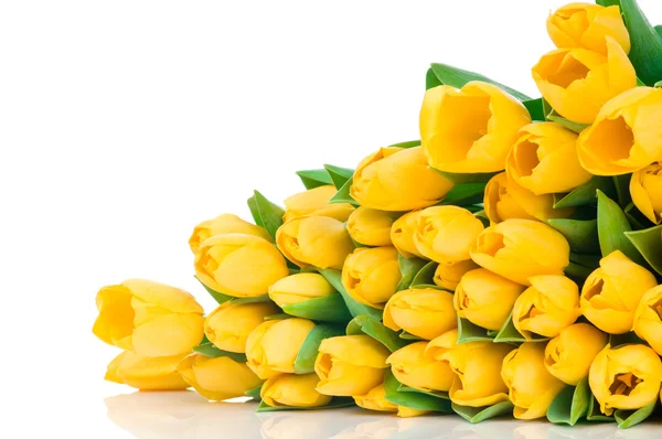 Gelbe Tulpen — Stockfoto