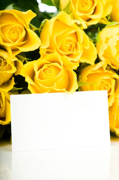 Yellow roses with greeting card — Stockfoto