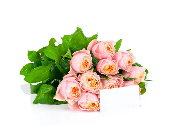 Rosas rosadas — Foto de Stock