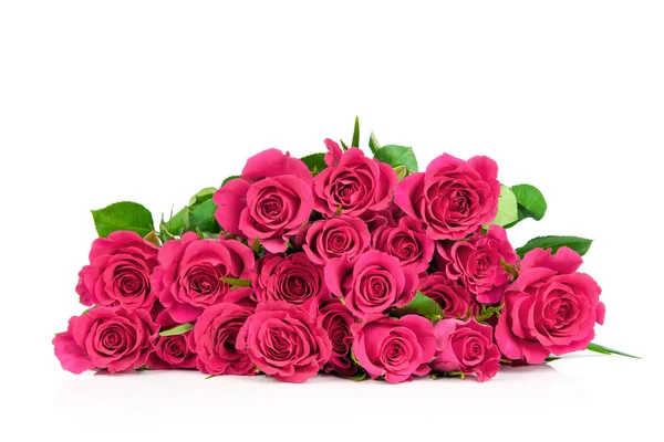 Rosas rosadas — Foto de Stock