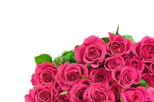 Roze rozen — Stockfoto