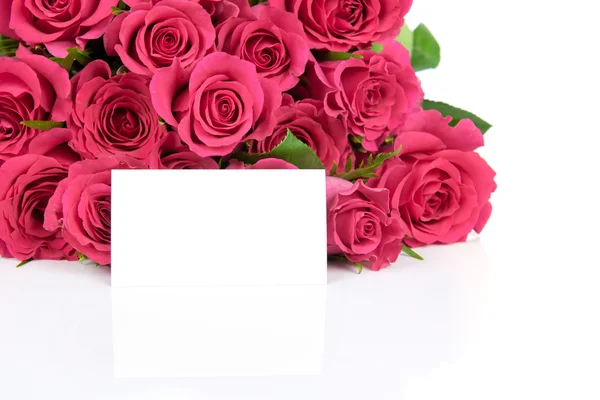 Pink roses — Stock Photo, Image