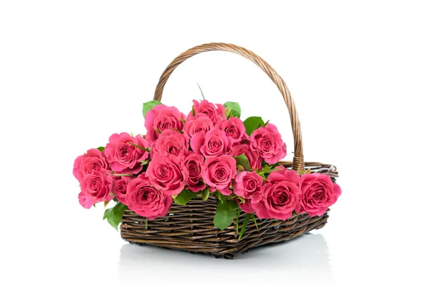 Pink roses in the basket — Stock Photo, Image