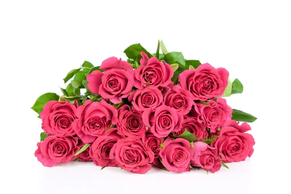 Świeże róże — Zdjęcie stockowe