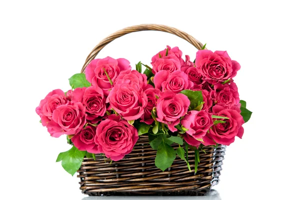 Růžové růže v koši — Stock fotografie