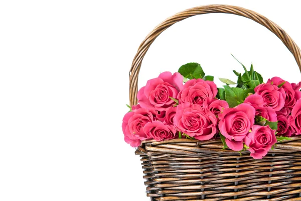 Pink roses in the basket — Stock Photo, Image